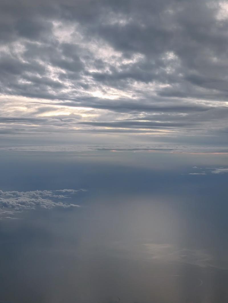 Flight home